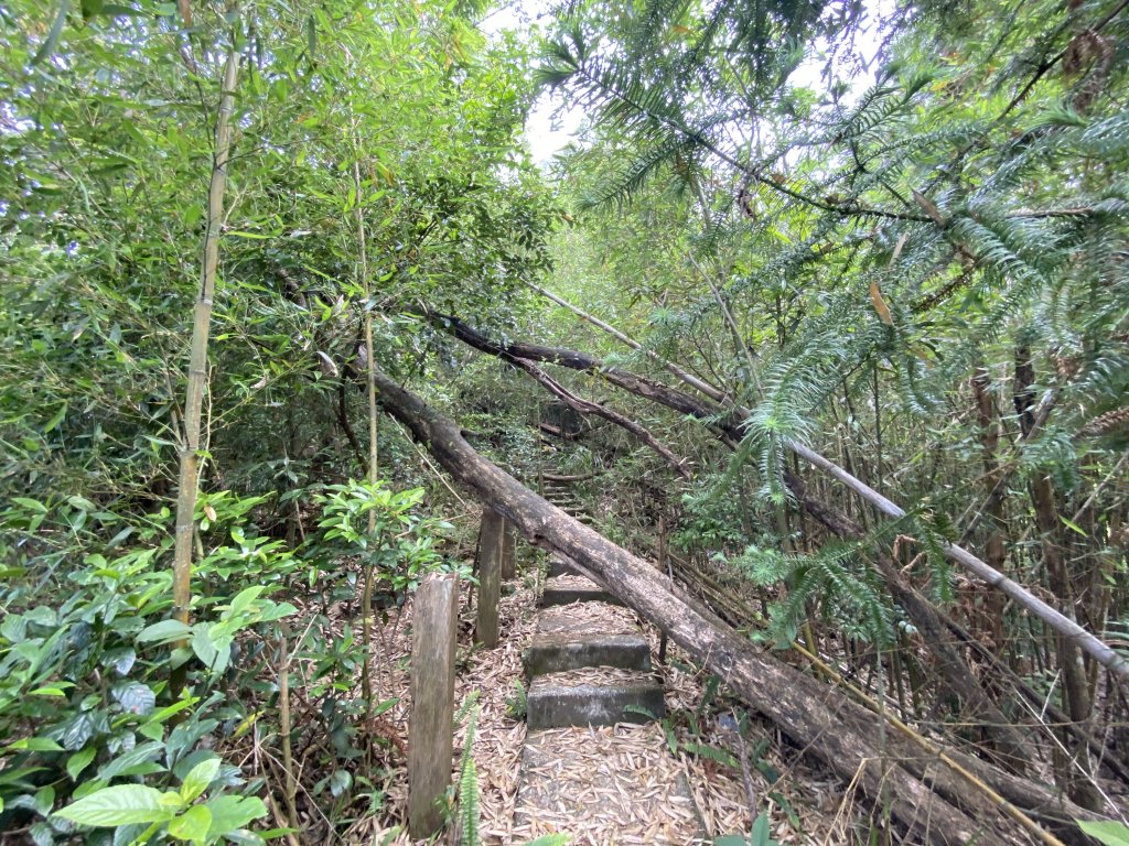 20220430_水雲三星_橫龍騰龍山_1702677