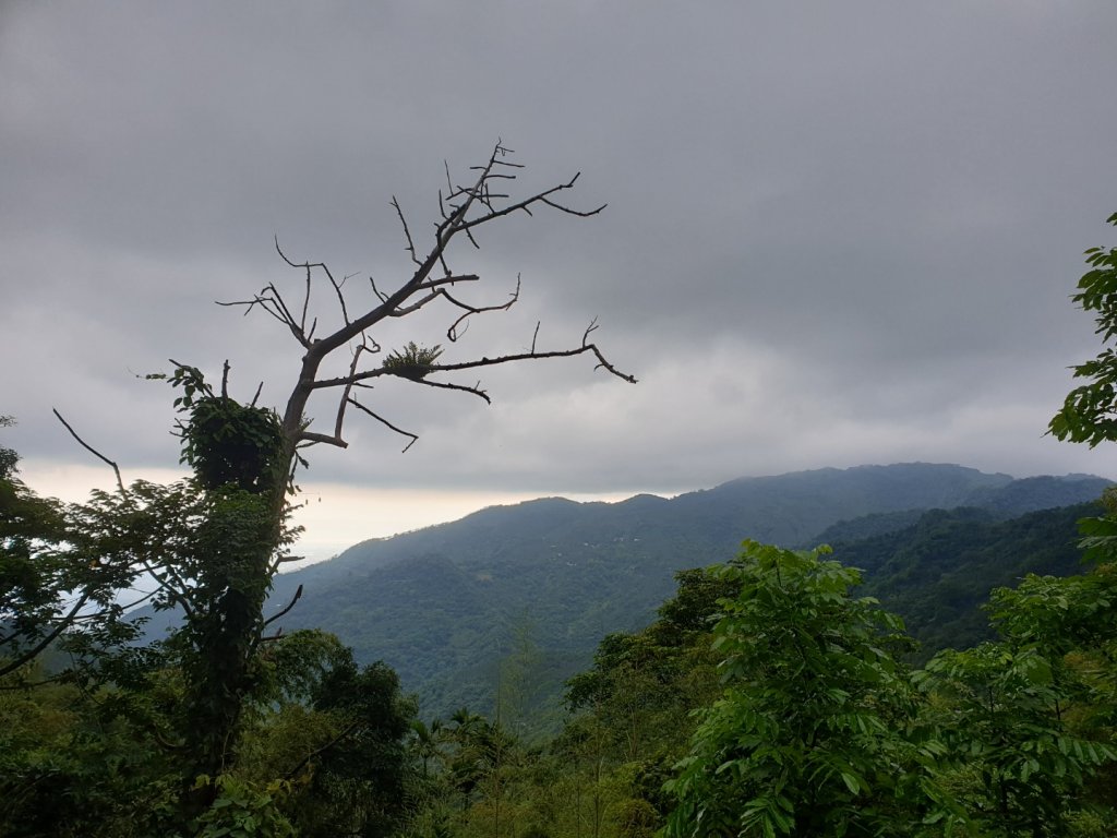 塘湖古道－金獅山－出水坑－交力坪山_1732600