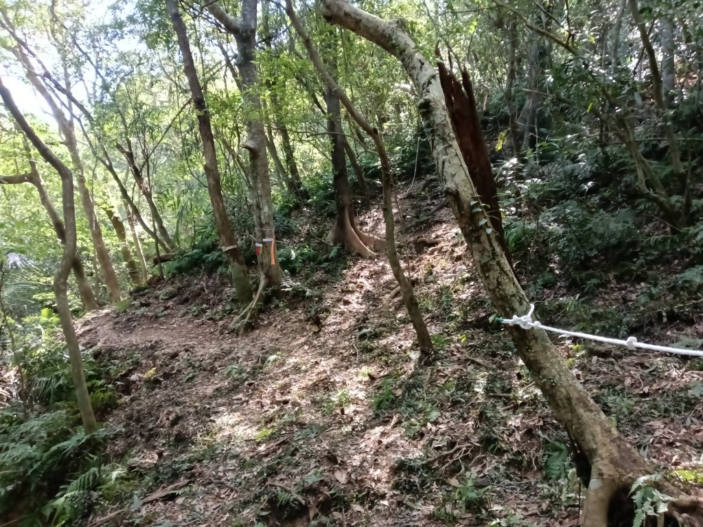 雙溪區大平林山+后番子坑古厝+后番子坑山+武山煤礦事務所+焦炭窯O型_2988581