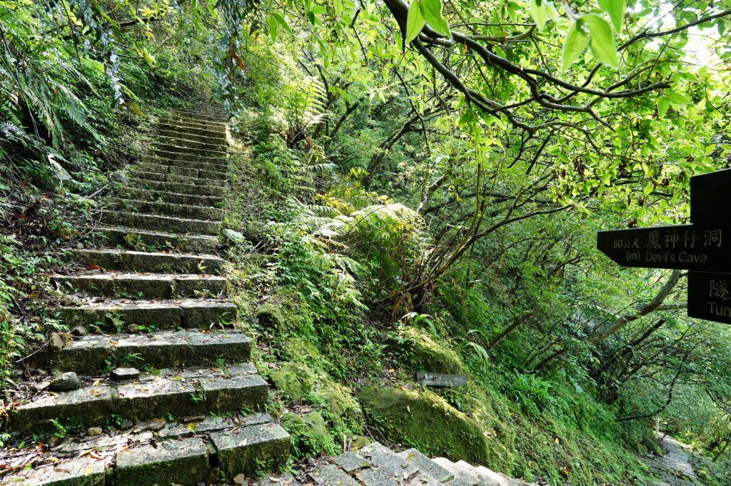 新北 平溪 薯榔尖、石筍尖、魔神仔洞_2772547