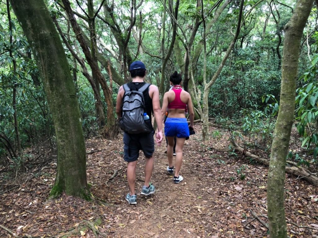 林口頂福巖森林步道_392534