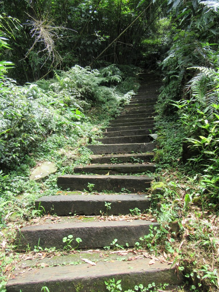 20200606-台北大縱走7_986903