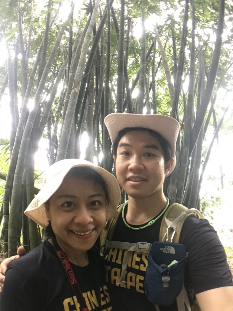 2020.04.11 內溝山老鷹尖賞桐_914870