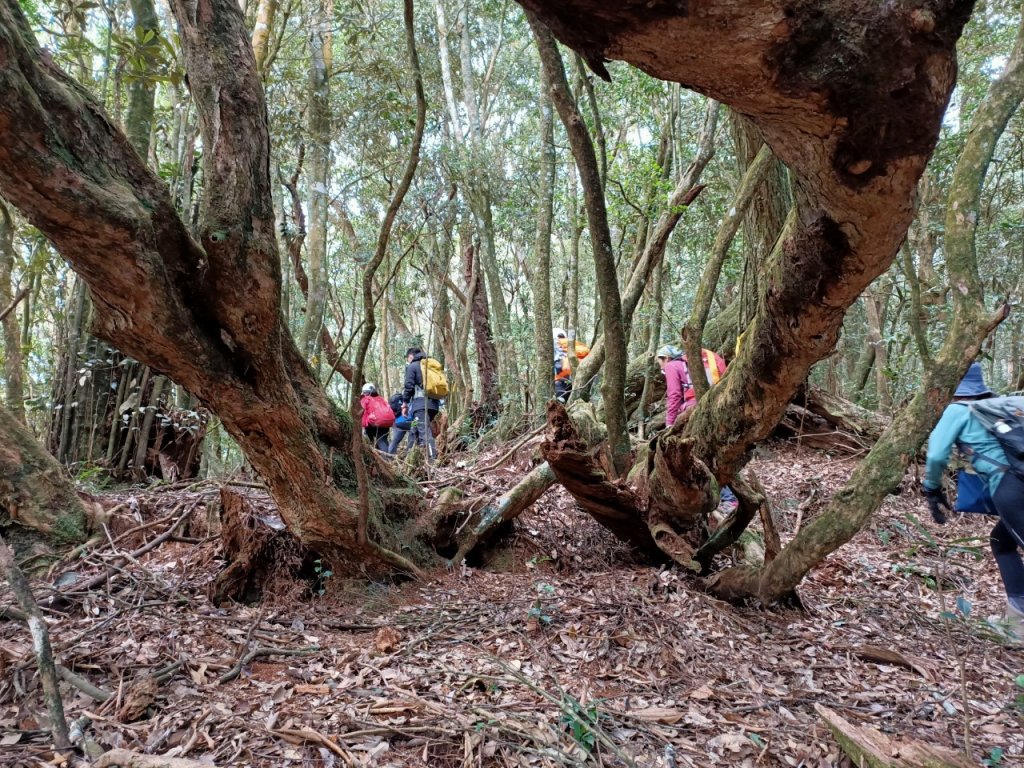 2022年02月13日(彰山協)南投日月潭四兄妹之中級山~大尖山縱走水社大山_1613413