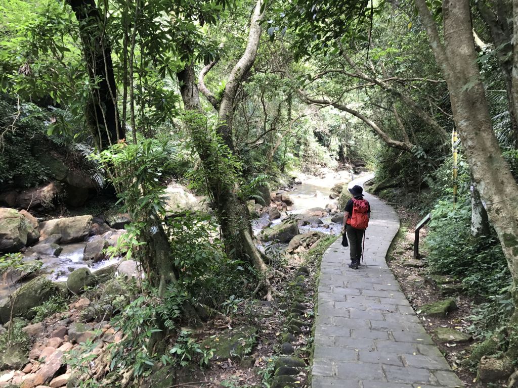 內湖三尖環走白石湖吊橋_138765