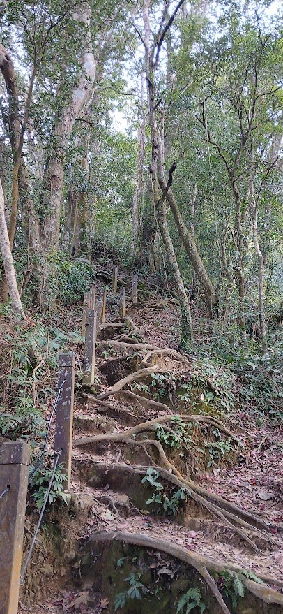 2025 1/27 石壁山_2700012
