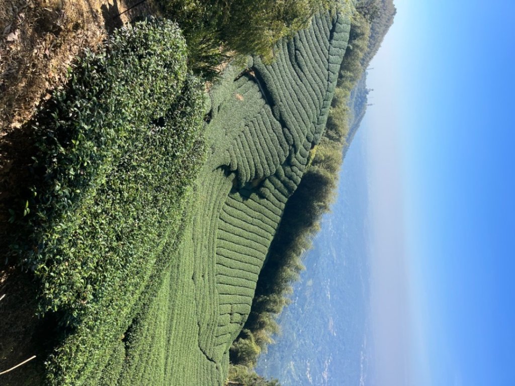 雲嘉五連峰_2735844