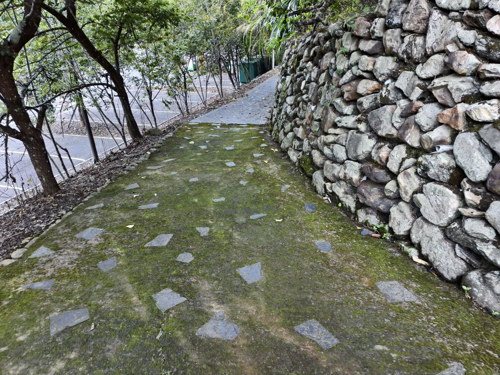 [玉山尋寶任務-07/12] 2025_0824 八通關雲龍瀑布步道_2870377