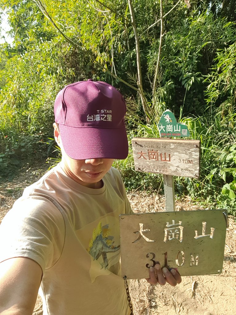 大崗山封面圖