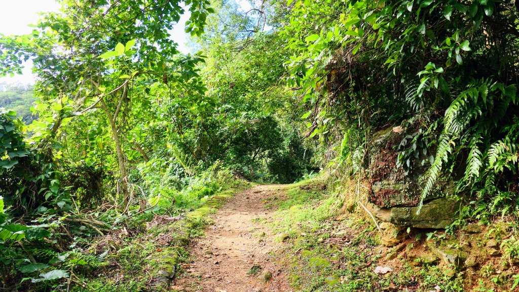 花蓮隨影_2667604