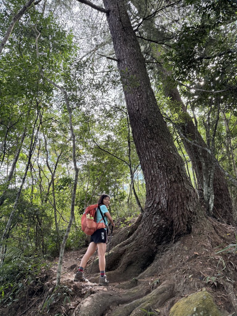 唐麻丹+蝴蝶谷O繞_2887833