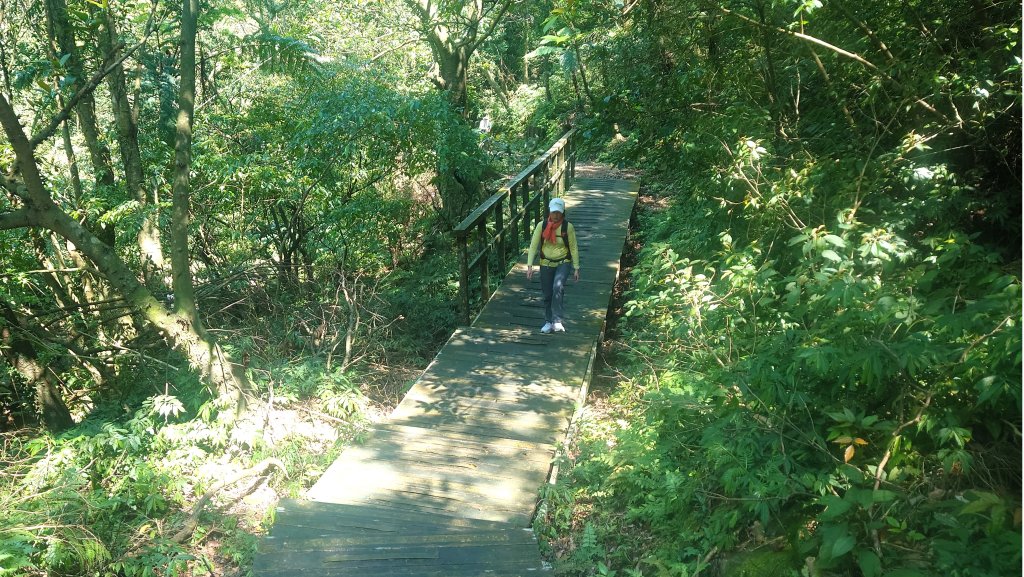 春天鮮綠的呢喃基隆荖寮坑古道上望古山登五分山O型_2747295