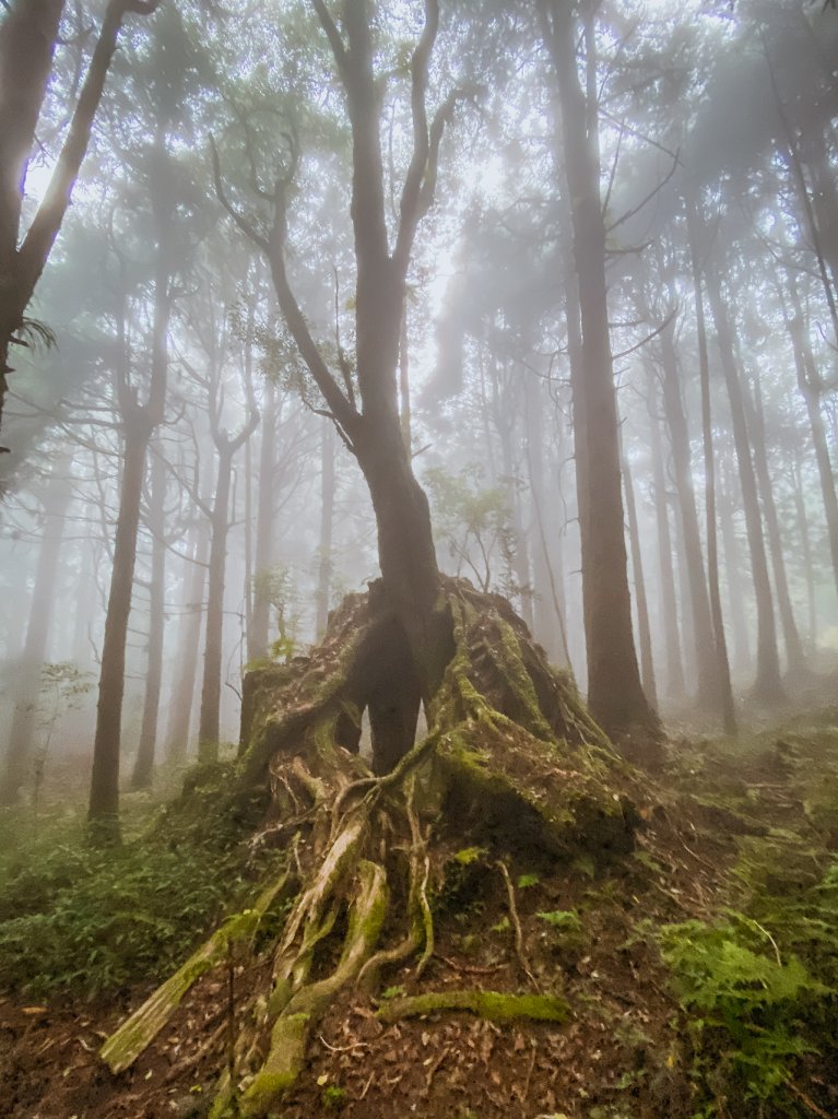 20200614-[嘉義] 自忠山，東水山。_1635892