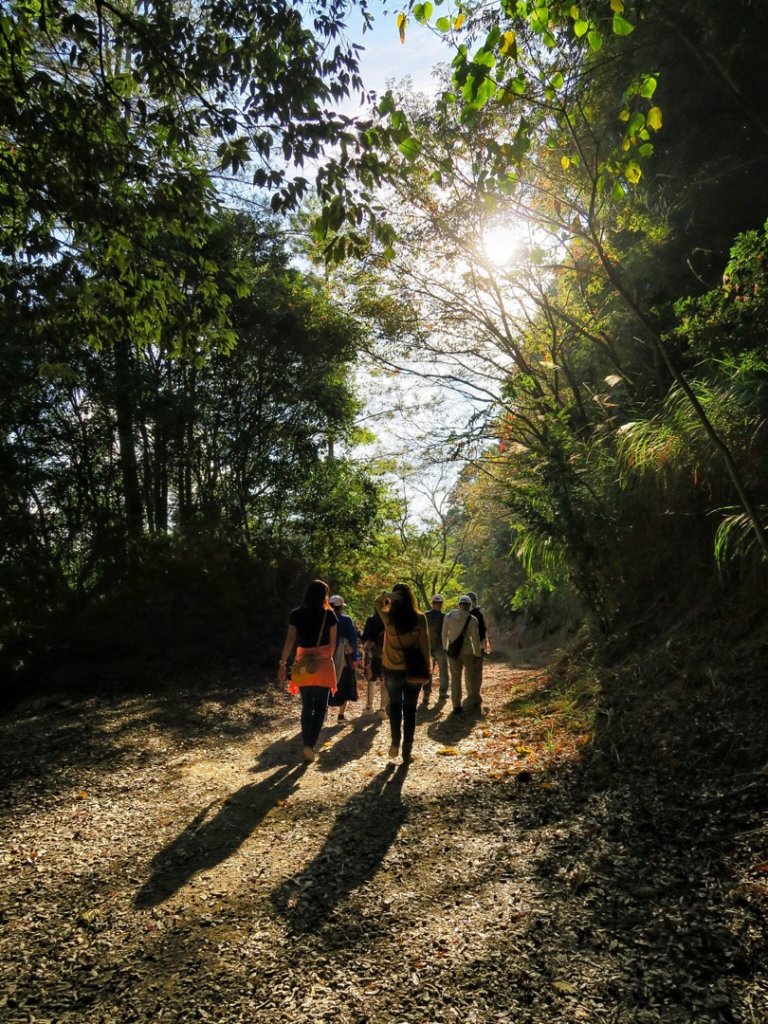 雪霸國家公園-雪見漫遊_747852