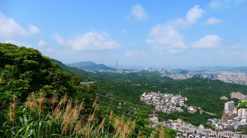 綬草（清明草、一線香或盤龍參）_3038862
