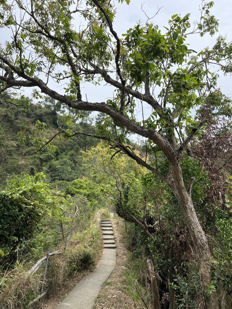 小百岳-大社觀音山封面圖