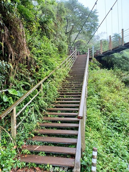 【雲林古坑】適合親子散散步。 華山小天梯情人橋_1681757