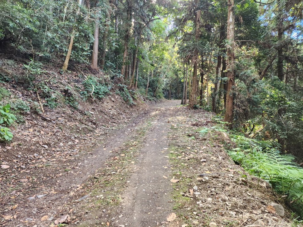 20231231觀音山林道上長壽山封面圖