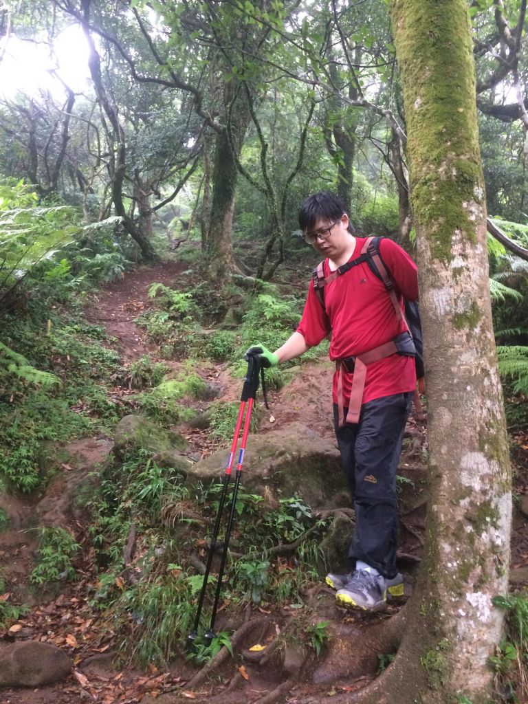 陽明山東西大縱走活動_403283