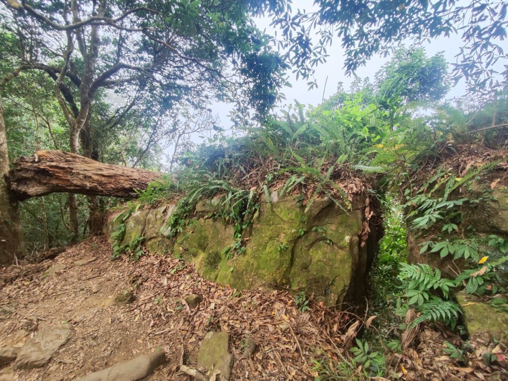 馬那邦山_2666832