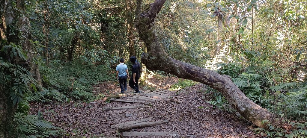 20220312_馬那邦山 細道邦山南峰 細道邦山_1637069