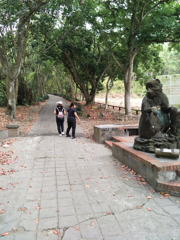 松柏嶺登廟步道_904131