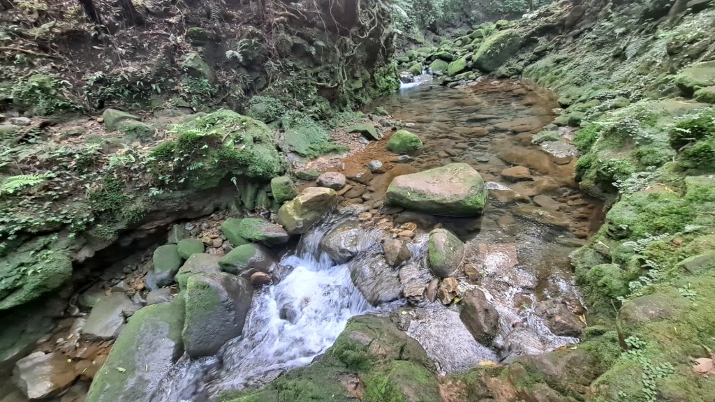 20240305坪頂古圳-登峰圳-內雙溪古道-瑪礁古道-大崎頭步道O繞_2447250