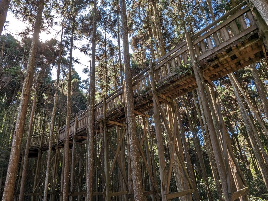 【雲林古坑】木馬古道 石壁風景區_1960768