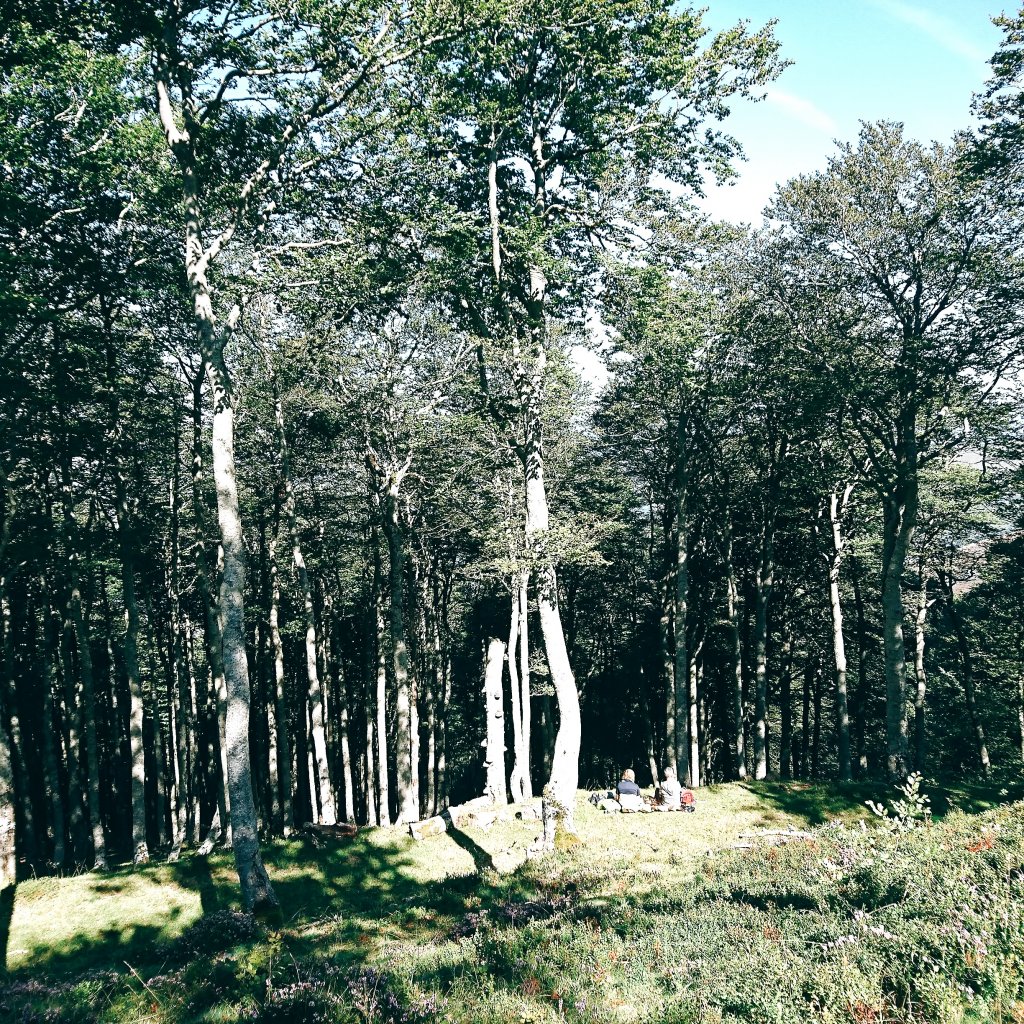 法國之路Saint-Jean-Pied-de-Port－Roncesvalles_1743475