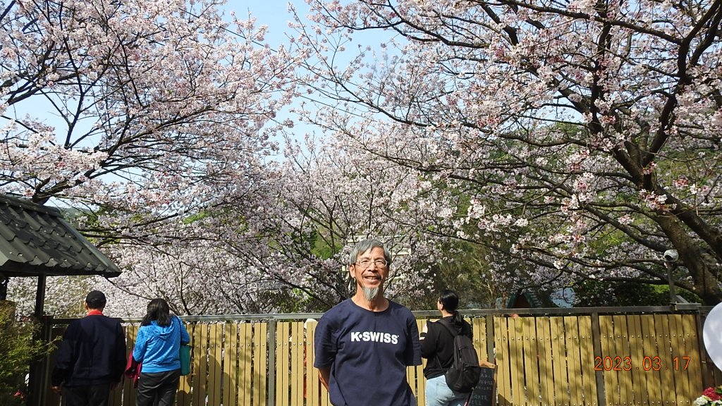 追花是簡單的快樂，賞花是恬淡的幸福。3/17_2073482