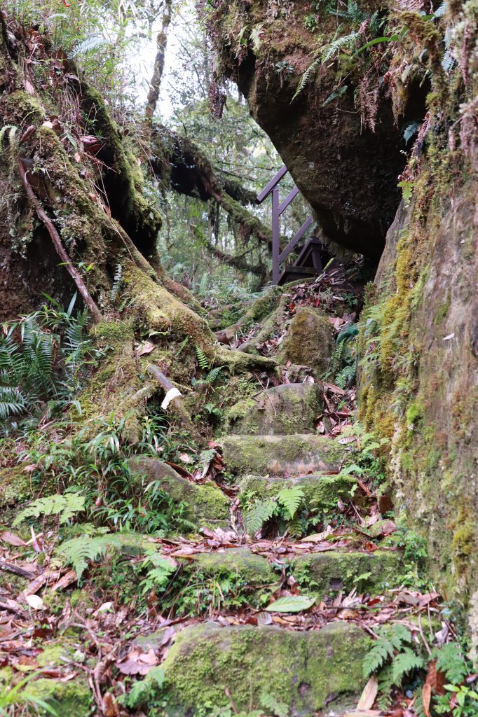 豐山眠月：石夢谷連走水漾千人洞_2757700
