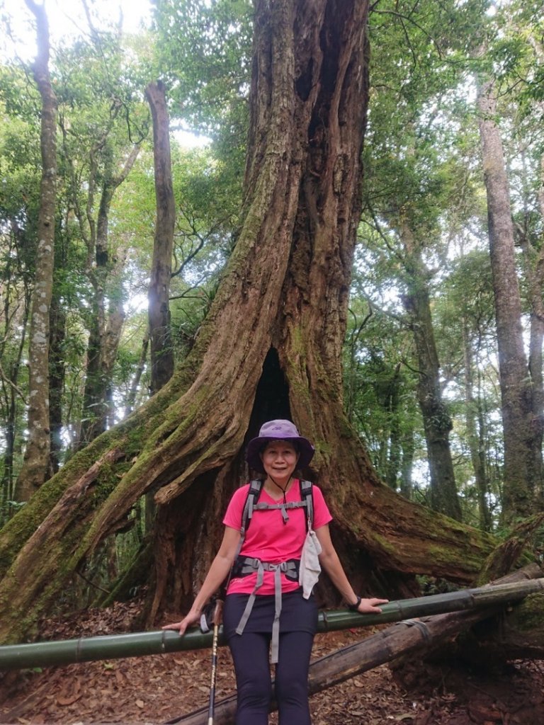 貓空望山、嶺頭山、金柑樹山（小百岳）、忘憂森林_1897022