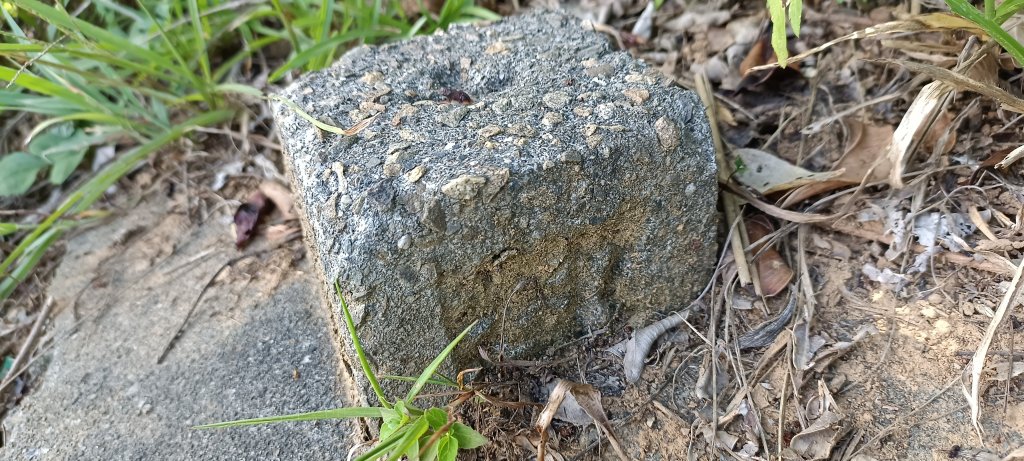 20230929_槓子寮山+砲台步道_2300833