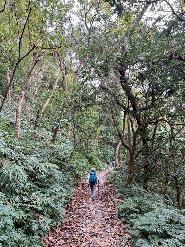 🌈12/14(日)南部最佳百岳練習場~小百岳-尾寮山✨FB：熊熊趴爬走🌈_2961680