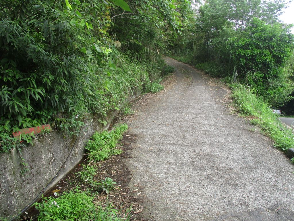 鵝公髻山之花_400830