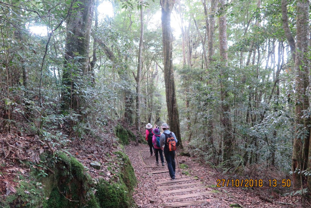 特富野古道_449278