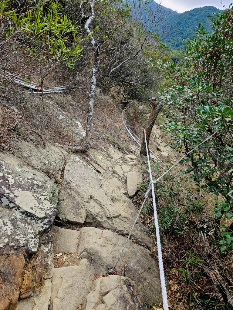 小百岳集起來-里龍山_2184728