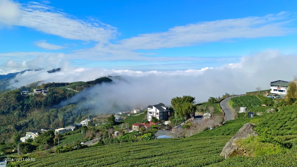 阿里山 #隙頂二延平 #頂石棹 #觀音圈 #雲海 #琉璃光 #雲瀑 #霧虹 11/17_2649795