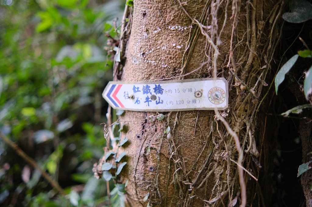 雙石縱走_2771128