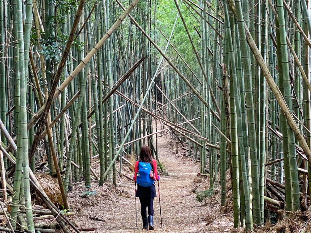 五元二角-東碧山莊O型環走_837692