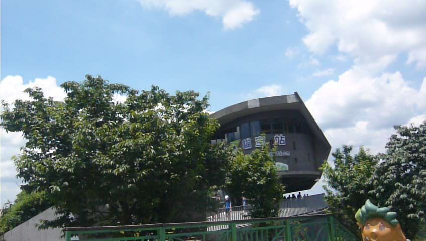 台北大縱走7：尋寶任務：指南宮/政大_1009079