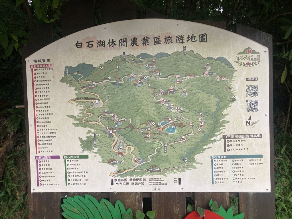 大崙頭山_2532694