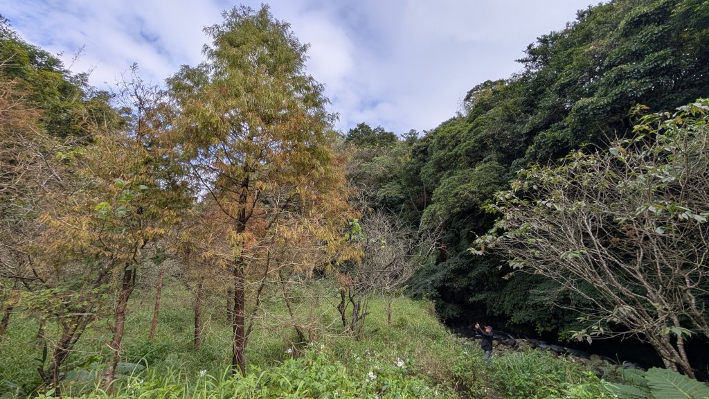 114.12.27尖山-40砲陣地之旅_2971723