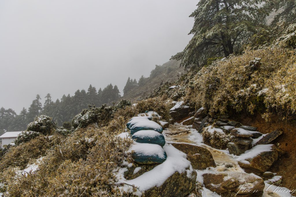 南二段撤退行_2743020