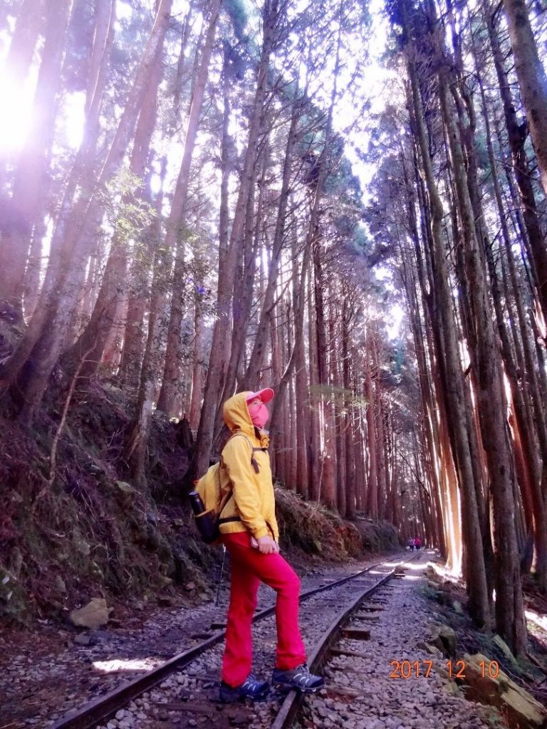 特富野悠閒散步之旅_222532