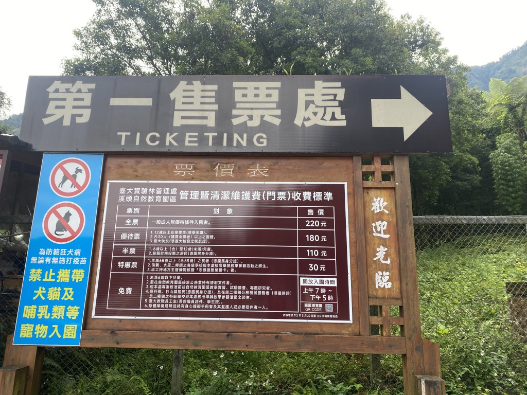 溪頭散步悠遊    2024.5.20_2517668