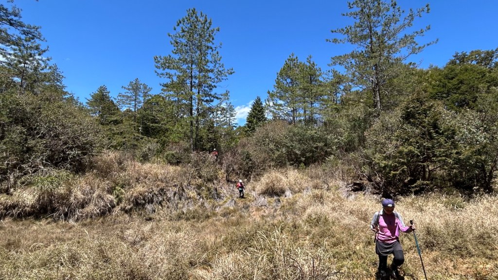 大同加羅湖穆魯洛亞滬庫霞四季警備道_2748256