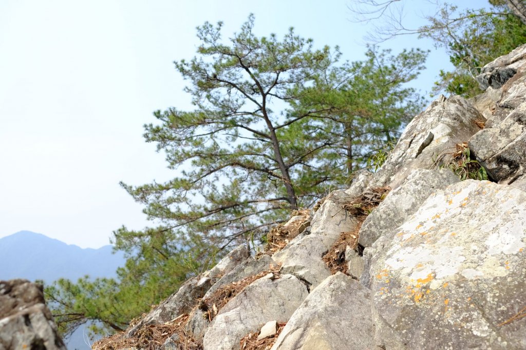 谷關七雄 | 東卯東南稜下松鶴_1320696