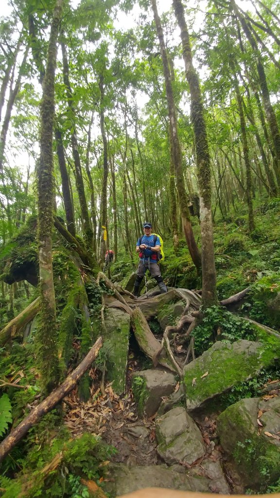 松蘿湖封面圖