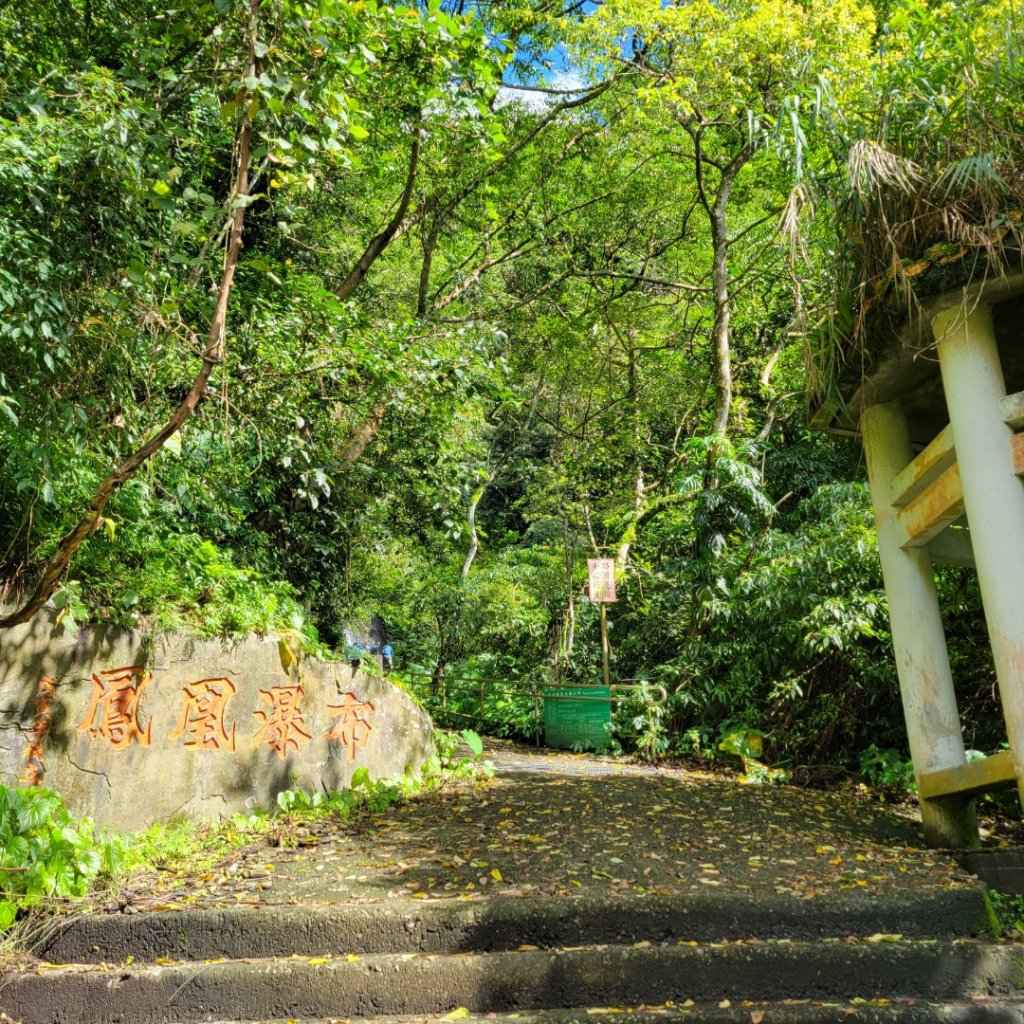 花蓮鳳凰瀑布封面圖